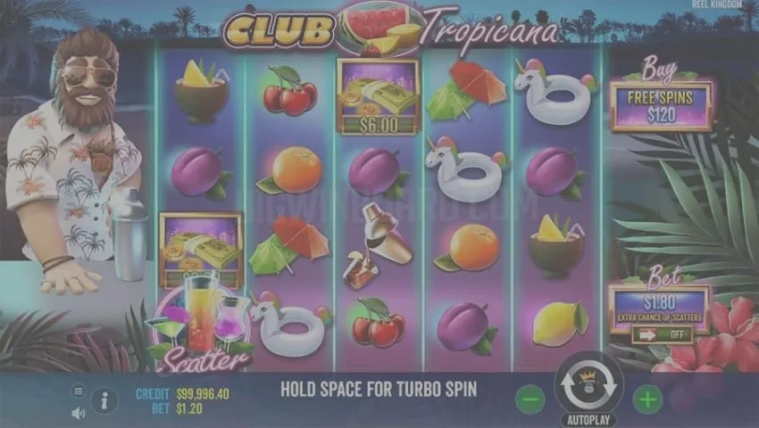 joc club tropicana
