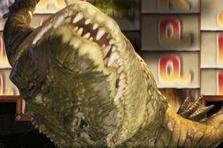 runde bonus sloturi online